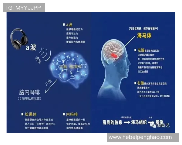 张静专访：探寻足球成功背后的秘密与经验分享