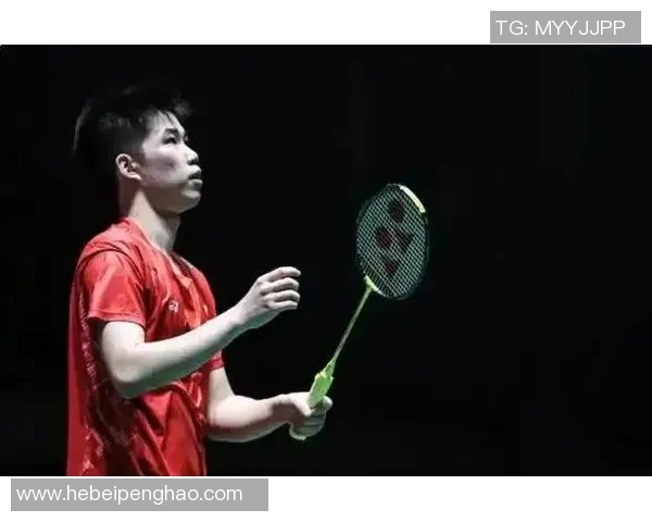 武汉羽毛球队总决赛背后的拼搏故事与荣耀时刻